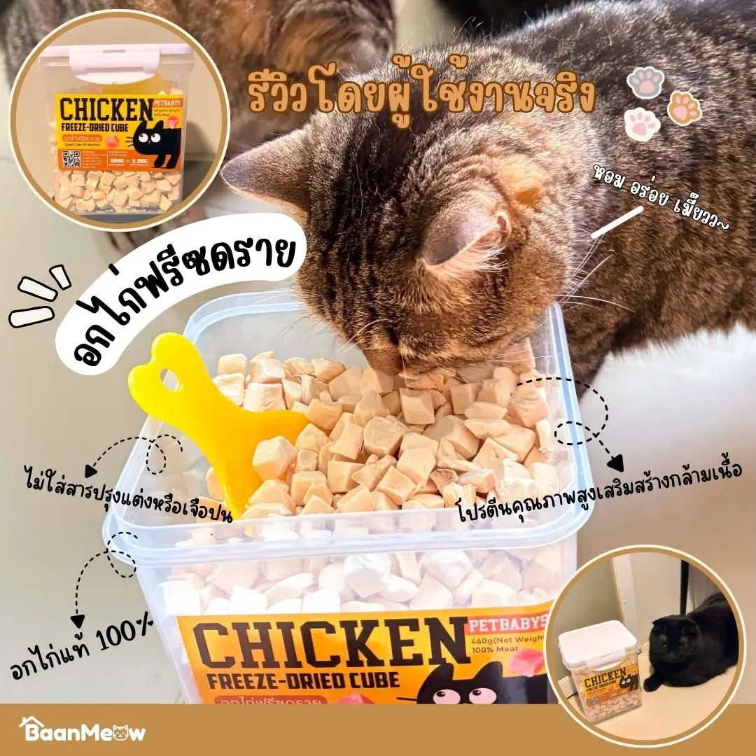 🐱อกไก่เต๋า🐶อกไก่ฟรีซดราย 100%ฟู้ดเกรด ขนมแมว ฟรีซดรายแมว ไก่ฟรีซดราย ขนมฟรีซดรายแมว ไก่ฟรีซดรายแมว