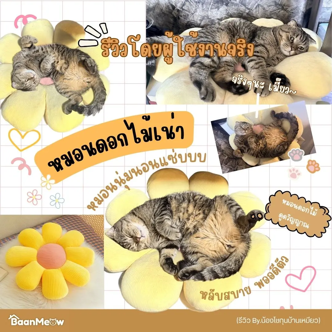 [YPU] เบาะรองนั่ง เบาะ เบาะดอกไม้ เบาะรองนั่งดอกไม้ น่ารักมาก หมอนโซฟา ตุ๊กตา